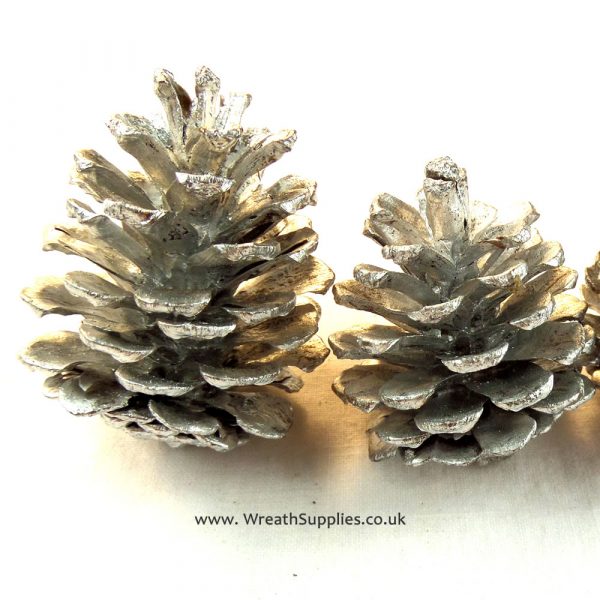 Silver Pine Cones