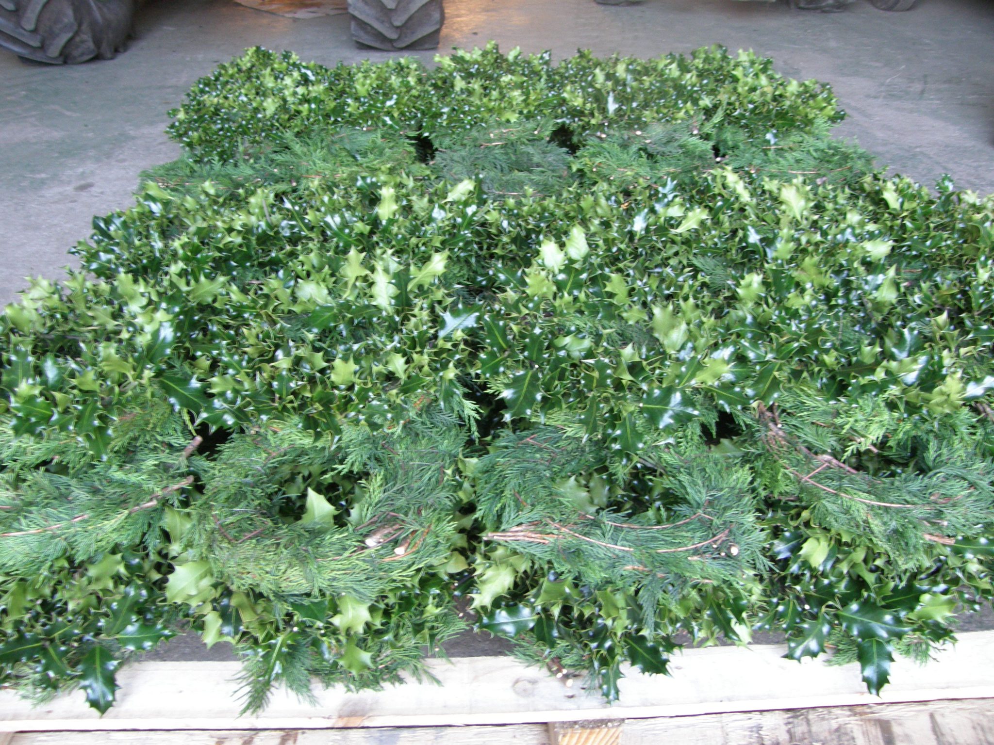 Fresh Holly Wreath Supplies