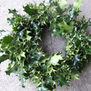 Plain holly wreath