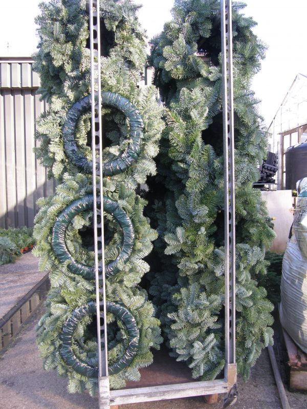 Spruce wreaths
