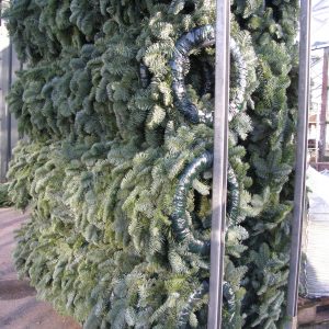 Spruce Christmas wreaths