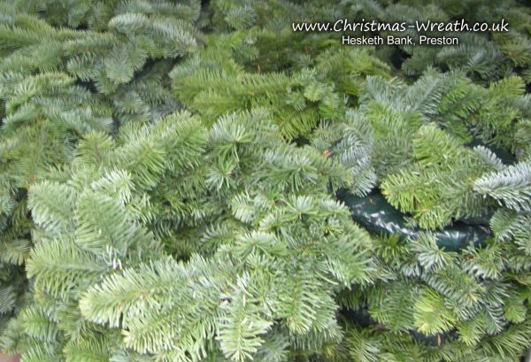 Fresh spruce wreaths