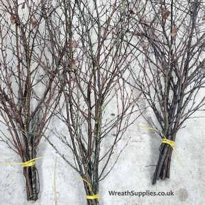 Birch twig bundles