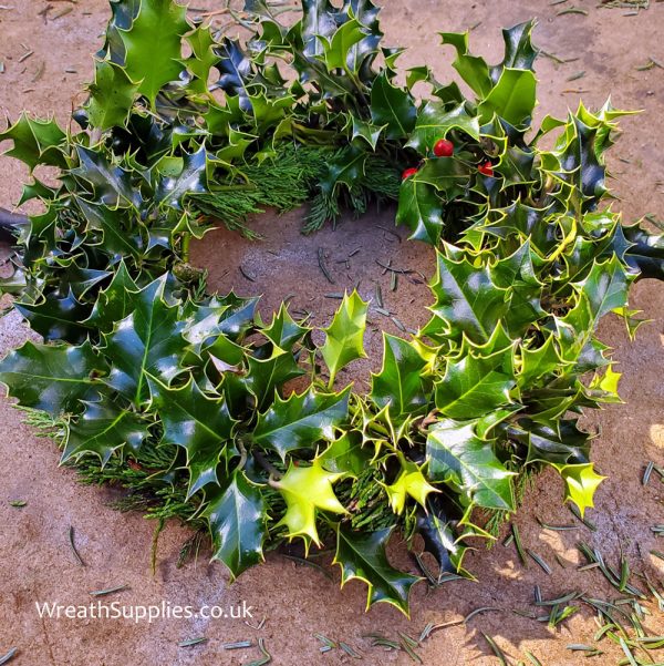 A plain 10" Holly Wreath