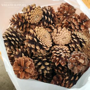 Bag of pine cones